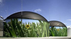 BioGas Renewable Energy